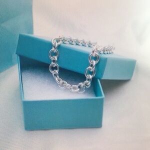 Tiffnay & Co Elegant Silver Chain Necklace